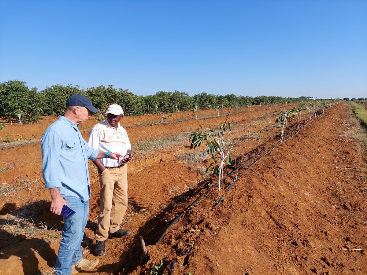Agriculture, Food & Forestry