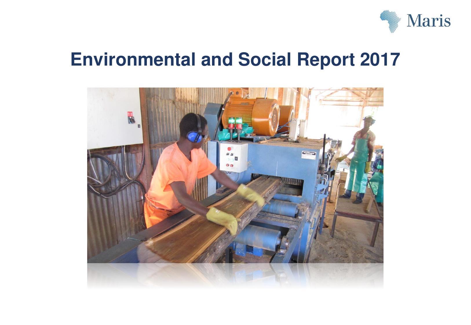 E&S Report 2017
