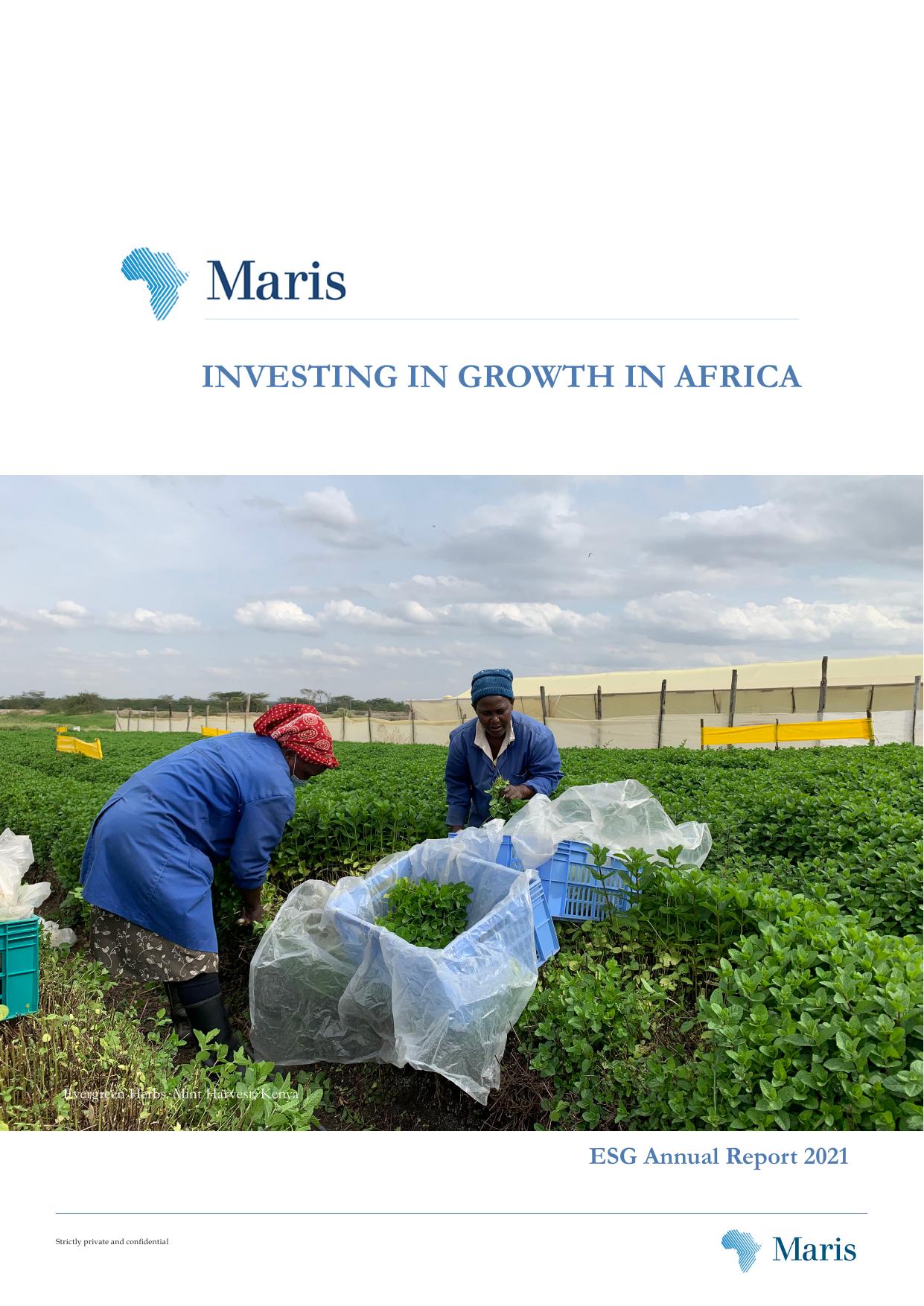 E&S Report 2021