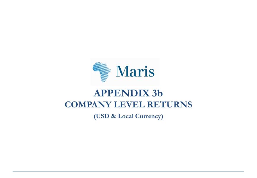 Appendix 3b: Company Returns