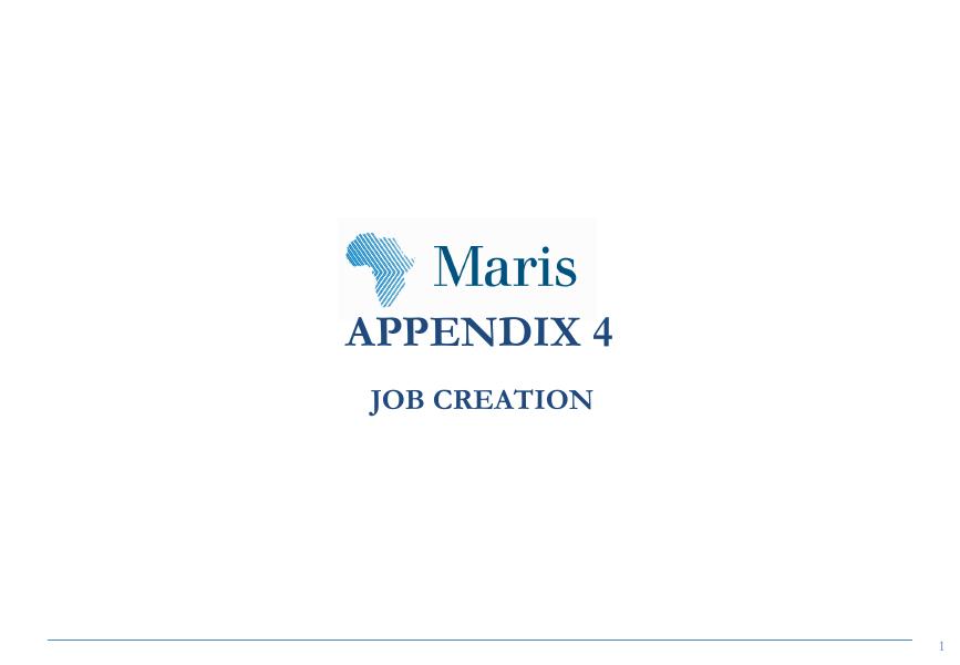 Appendix 4: Job Creation