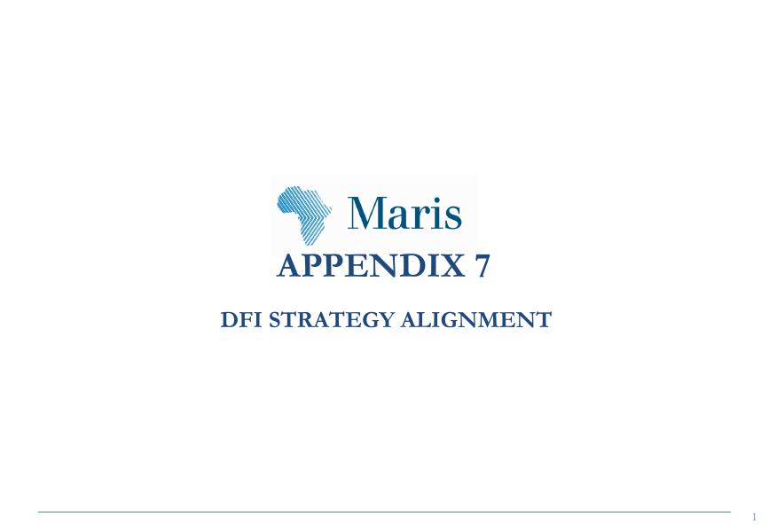 Appendix 7: DFI Strategy Alignment